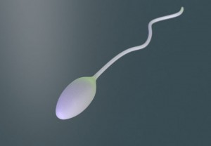 Sperm Analysis